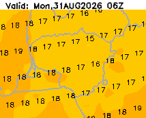 Temperatūra +102 val.